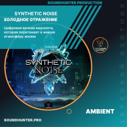 Cover Synthetic Noise - Холодное отражение