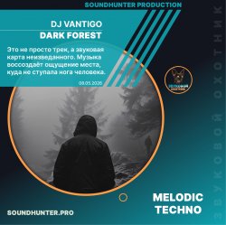 Cover DJ VANTIGO - Dark Forest