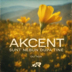 Cover Akcent - Sunt nebun dupa tine