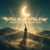 Cover ViTaLiKuS - Mirrors of the Desert Soul ViTaLiKuS - Mirrors of the Desert Soul