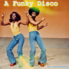 zaevsergey - A Funky Disco