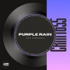 Cover Igor Pumphonia - Purple Rain (Dub) Igor Pumphonia - Purple Rain (Dub)