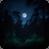 Cover Dj Calma - Silent Distance (Original Mix) Dj Calma - Silent Distance (Original Mix)