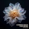 Cover ViTaLiKuS - Coming Back for More ViTaLiKuS - Coming Back for More