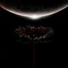 Cover Muse - Space Debris Muse - Space Debris