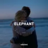 Don Diablo - Elephant