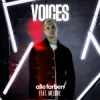 Cover Alle Farben & MELODIE - Voices Alle Farben & MELODIE - Voices