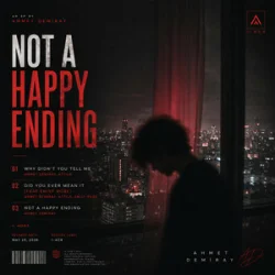 Cover Ahmet Demiray & ATTILA - Why Didn't You Tell Me