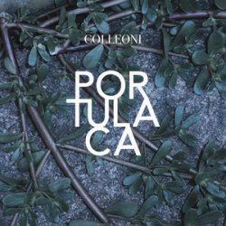 Cover Colleoni - Sinonimi E Contrari