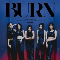 Cover ARTMS - BURN