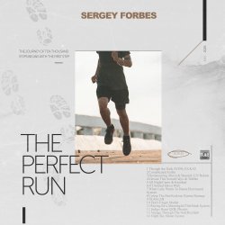 Cover THE PERFECT RUN