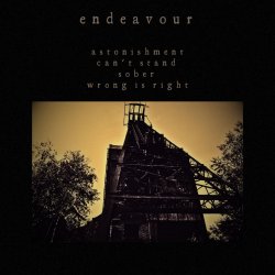 Cover Endeavour - Can't Stand