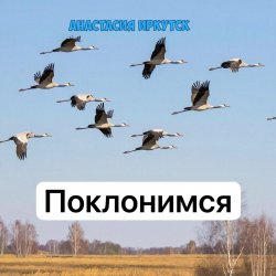 Cover Анастасия Иркутск - Поклонимся