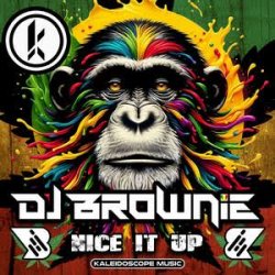 Cover DJ Brownie - Nice It Up