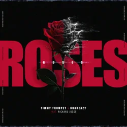 Cover Timmy Trumpet & bradeazy & Richard Judge - Roses