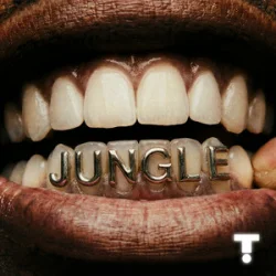 Cover TroyBoi & Shiwa - Jungle