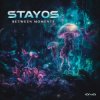 Cover Stayos - Tov Li (Original Mix) Stayos - Tov Li (Original Mix)