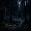 Cover Ведьмина гора - Чёрный лес (extended) Ведьмина гора - Чёрный лес (extended)