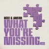 Cover BCee & Javeon - What You're Missing BCee & Javeon - What You're Missing