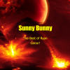 Cover Sunny Bunny - The Best of Ryan Ganar! Sunny Bunny - The Best of Ryan Ganar!