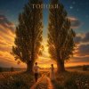 Cover Марсель Давлетов - Тополя Марсель Давлетов - Тополя