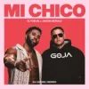 Cover Dj Goja & Jason Derulo - Mi Chico (Dj Dark Remix) Dj Goja & Jason Derulo - Mi Chico (Dj Dark Remix)