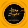 Boris Roodbwoy & Andrew Rai - work (andrew rai original mix)