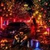 Cover DJ KAIFAR - В садах DJ KAIFAR - В садах