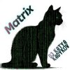 Cover DJ Katya Kadykov - Matrix (minatrix_edition) DJ Katya Kadykov - Matrix (minatrix_edition)