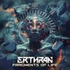 Cover Erthran - Trick to Life Erthran - Trick to Life