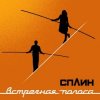 Cover Сплин - Когда пройдет 100 лет Сплин - Когда пройдет 100 лет