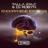 Cover Talla 2XLC & DJ Robyn - Endorphene Express (Extended Mix) Talla 2XLC & DJ Robyn - Endorphene Express (Extended Mix)