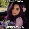 Cover Pashechka - Черёмуха. Pashechka - Черёмуха.