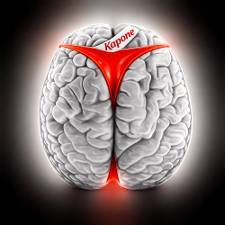 Cover Brains 5 [2019]