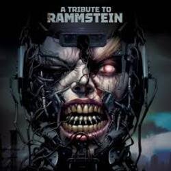 Cover Turbodrom - Wo bist du