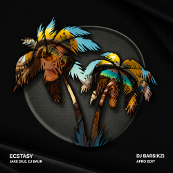 Cover Ecstasy (DJ Bars(Kz) Afro Edit)