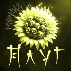 Cover Плуг - Молния