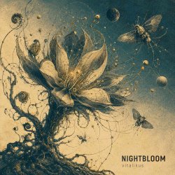 Cover ViTaLiKuS - NIGHTBLOOM