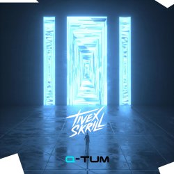 Cover Q-Tum