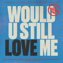 Cover Diplo & Cameron Whitcomb - Would U Still Love Me (Lost Frequencies Remix)