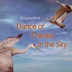 Cover Dance of Cranes in the Sky