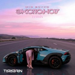 Cover Экспонат (TARABRIN Radio Remix)
