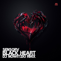 Cover Black Heart (DJ Nowitzki Remix)