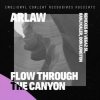 Cover ARLAW - Flow Through The Canyon (VegaZ SL Remix) ARLAW - Flow Through The Canyon (VegaZ SL Remix)