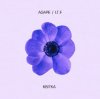 Cover AGAPE - Квітка AGAPE - Квітка