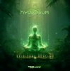 Cover Hydronium - Hydronium Ion (Original Mix) Hydronium - Hydronium Ion (Original Mix)