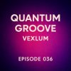 Cover Vexlum - Quantum Groove 036 Vexlum - Quantum Groove 036