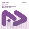Cover ALIGASH - Quicksand (Paul Skelton Extended Remix) ALIGASH - Quicksand (Paul Skelton Extended Remix)