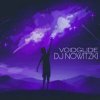 Cover DJ Nowitzki - Voidglide DJ Nowitzki - Voidglide