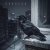 Cover Igor Pumphonia & Anita Lav - Corbeau